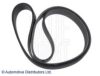 BLUE PRINT AD08R1230 V-Ribbed Belts